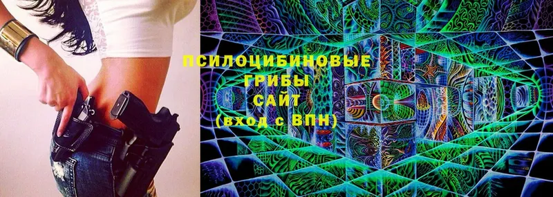 хочу   Гдов  это официальный сайт  Псилоцибиновые грибы мухоморы 